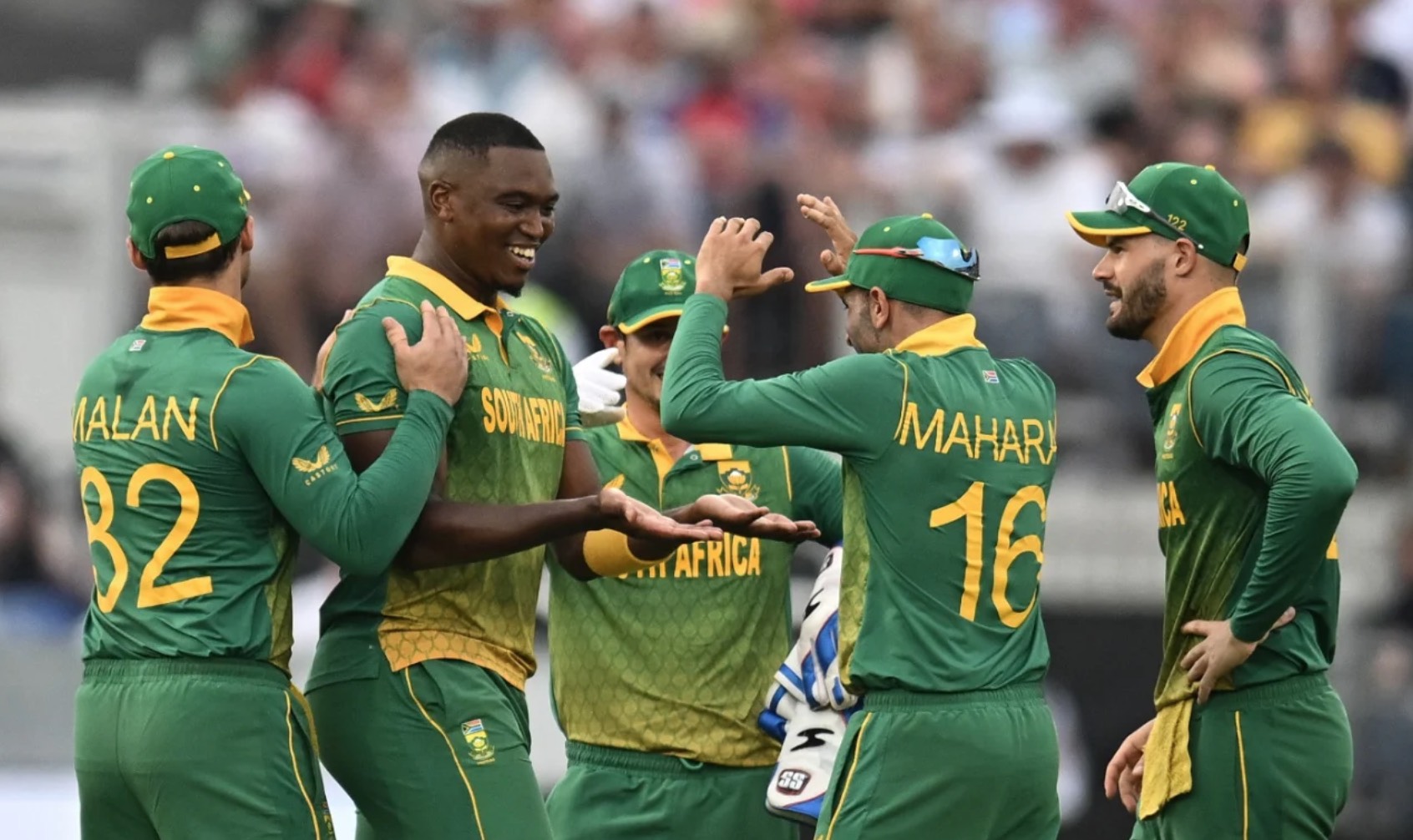 Find the cricket best betting site with top odds